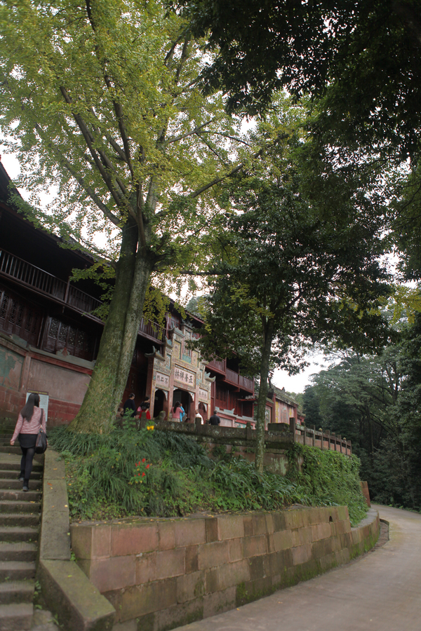周末休闲篇:蒙顶山永兴寺