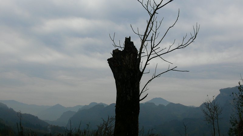 P1320220_.jpg