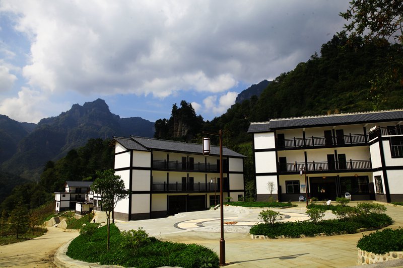 _MG_7784.JPG