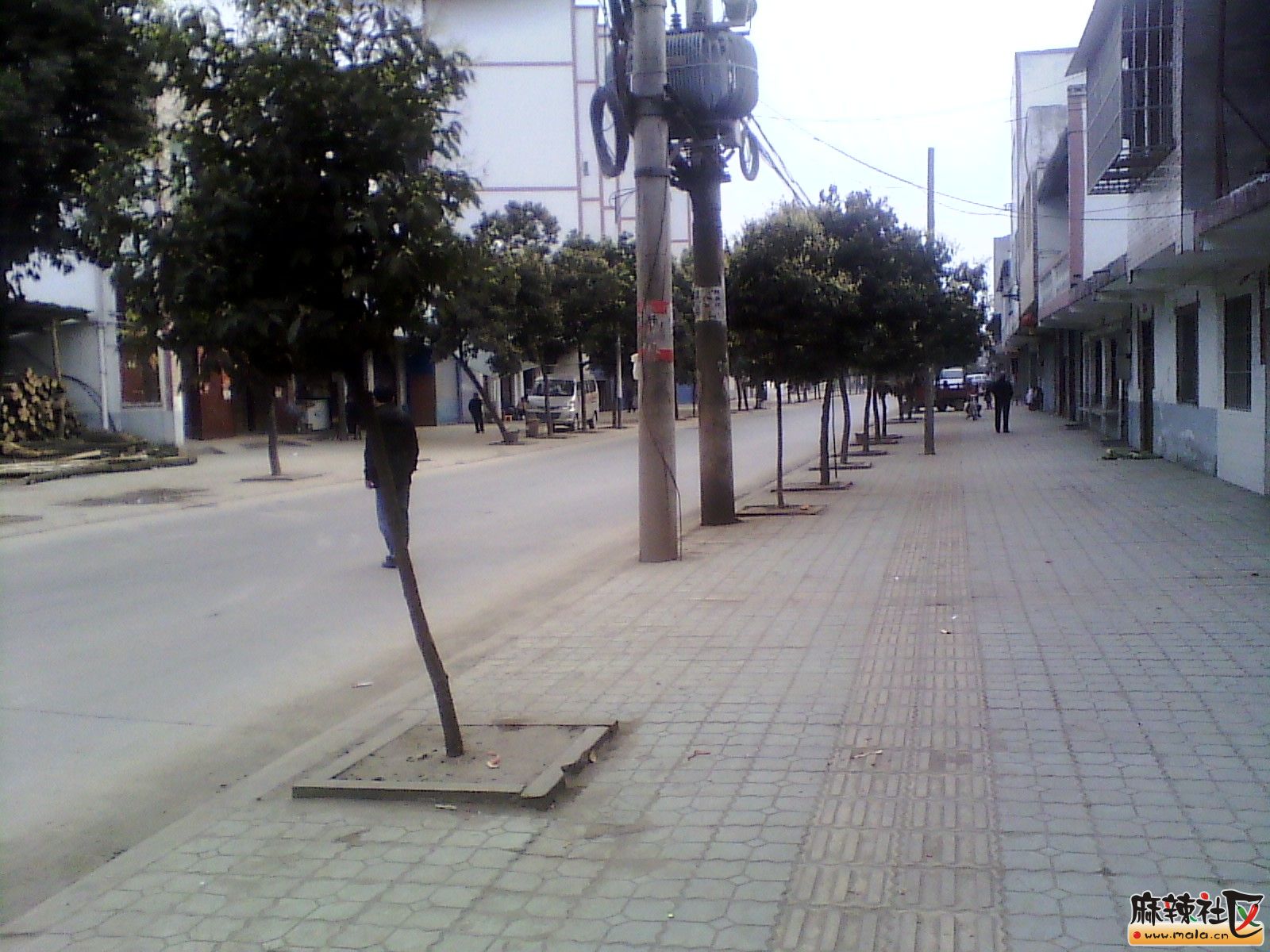 IMG_20130318_164258.jpg