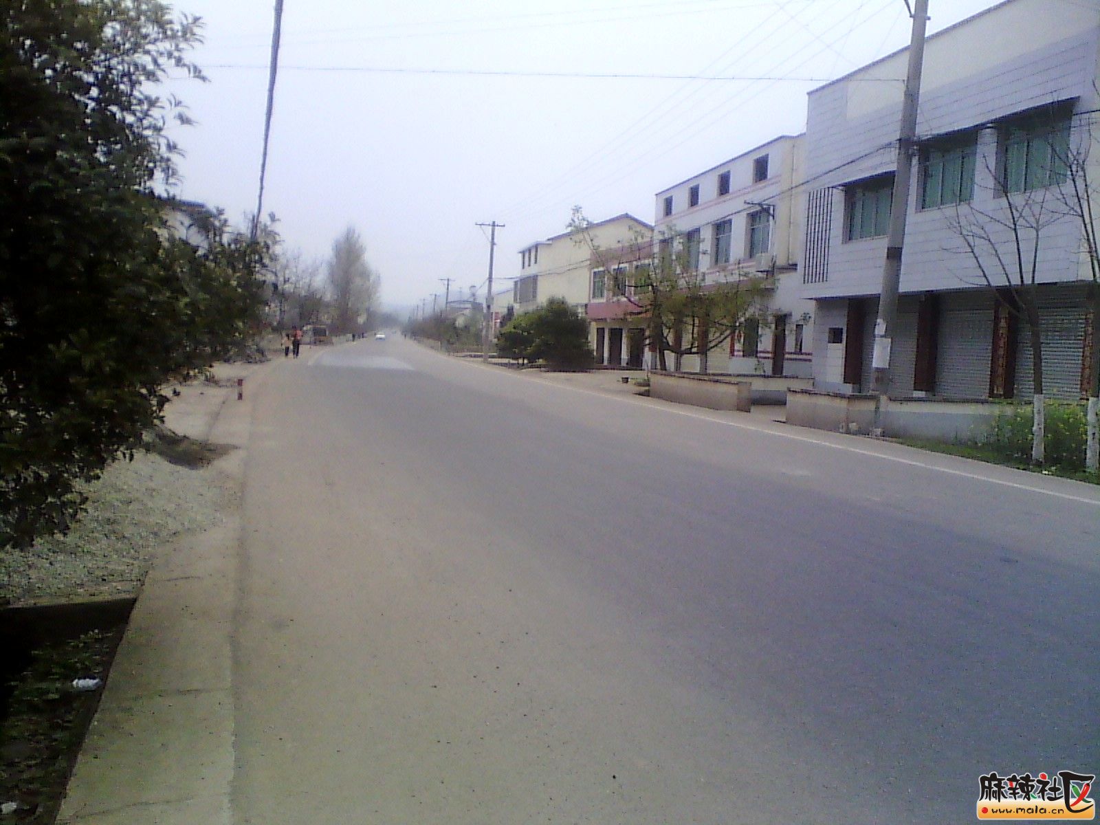 IMG_20130318_172829.jpg