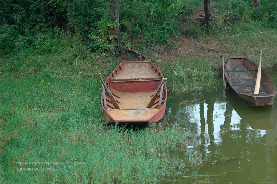DSC_1572.JPG