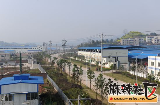 pengan_085.jpg
