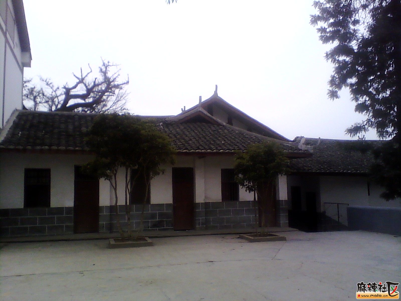 IMG_20130318_161912.jpg