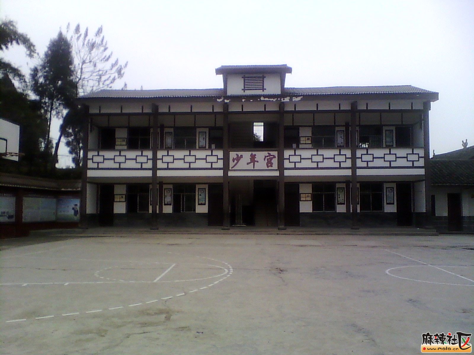 IMG_20130318_162032.jpg