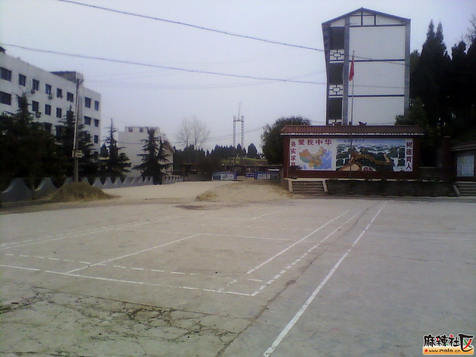 IMG_20130318_162227.jpg