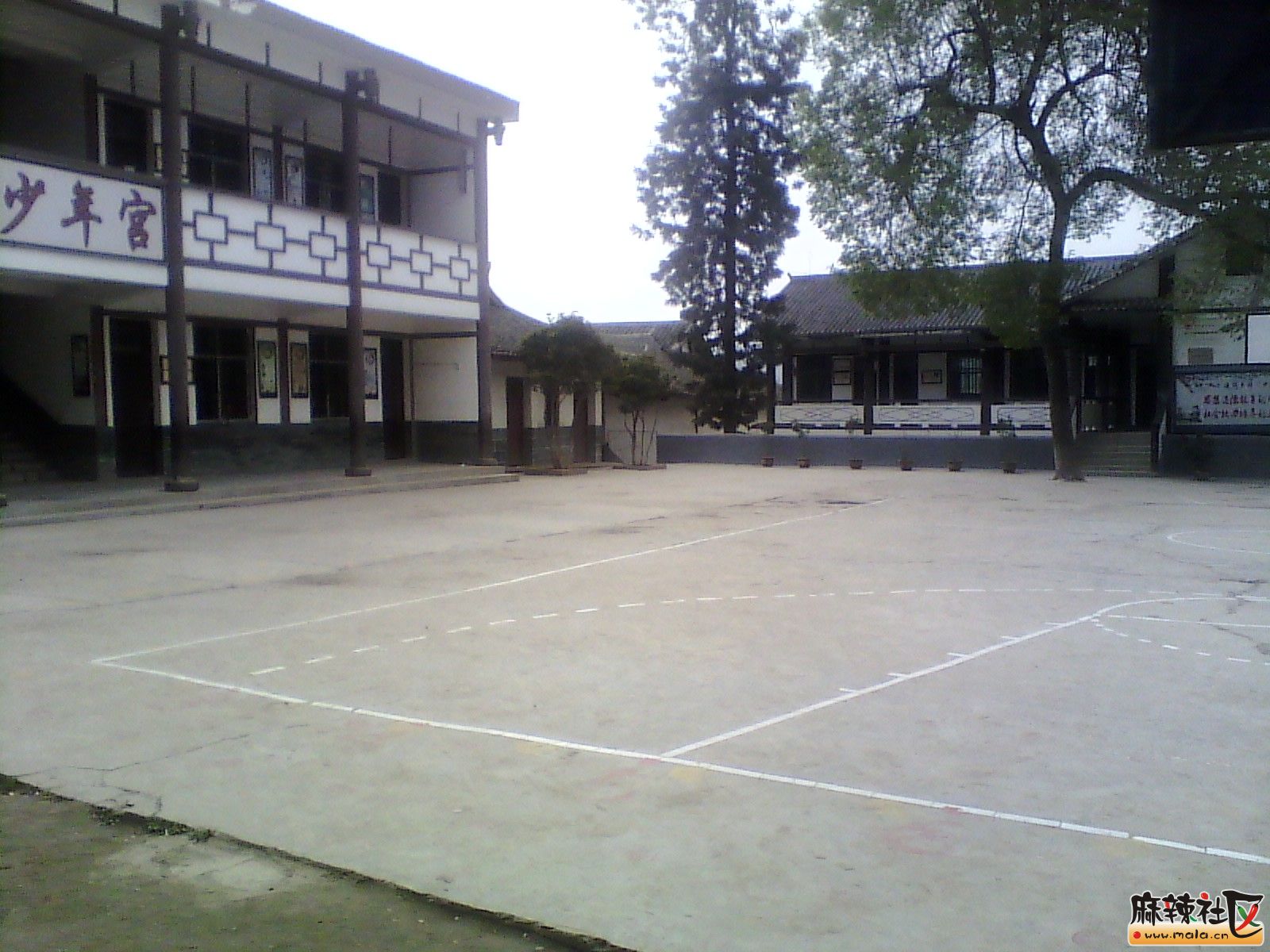 IMG_20130318_162706.jpg