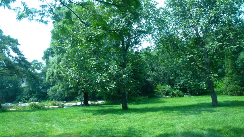 ԰80.jpg
