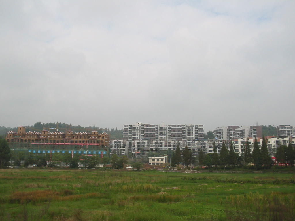 IMG_2459.jpg