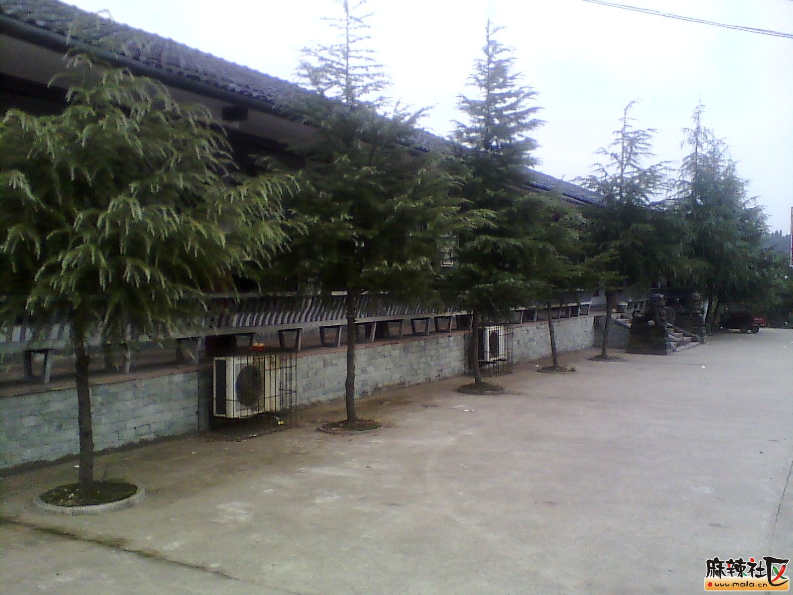 IMG_20131019_145527.jpg