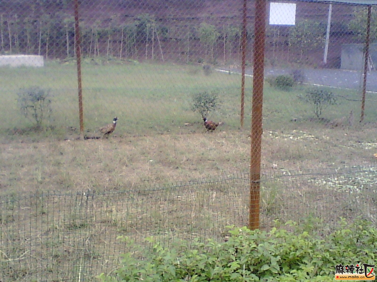 IMG_20131019_150520.jpg
