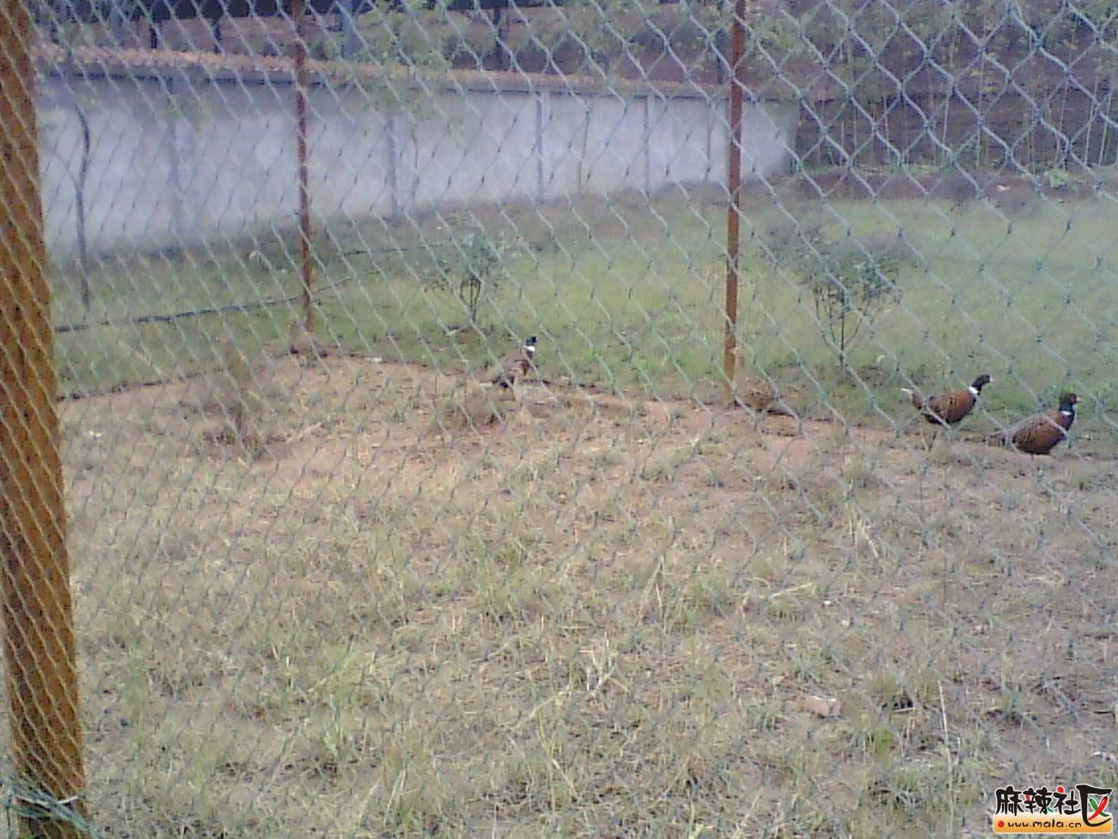 IMG_20131019_150628.jpg