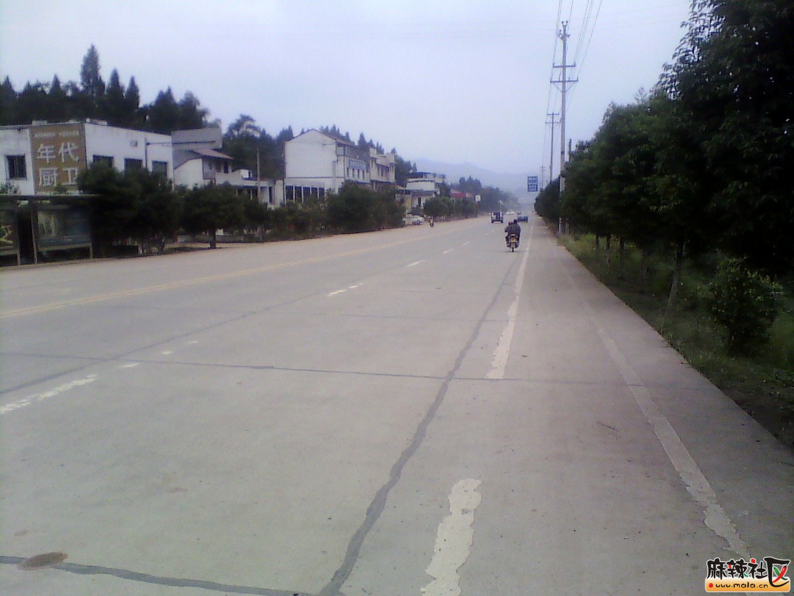 IMG_20131019_152048.jpg