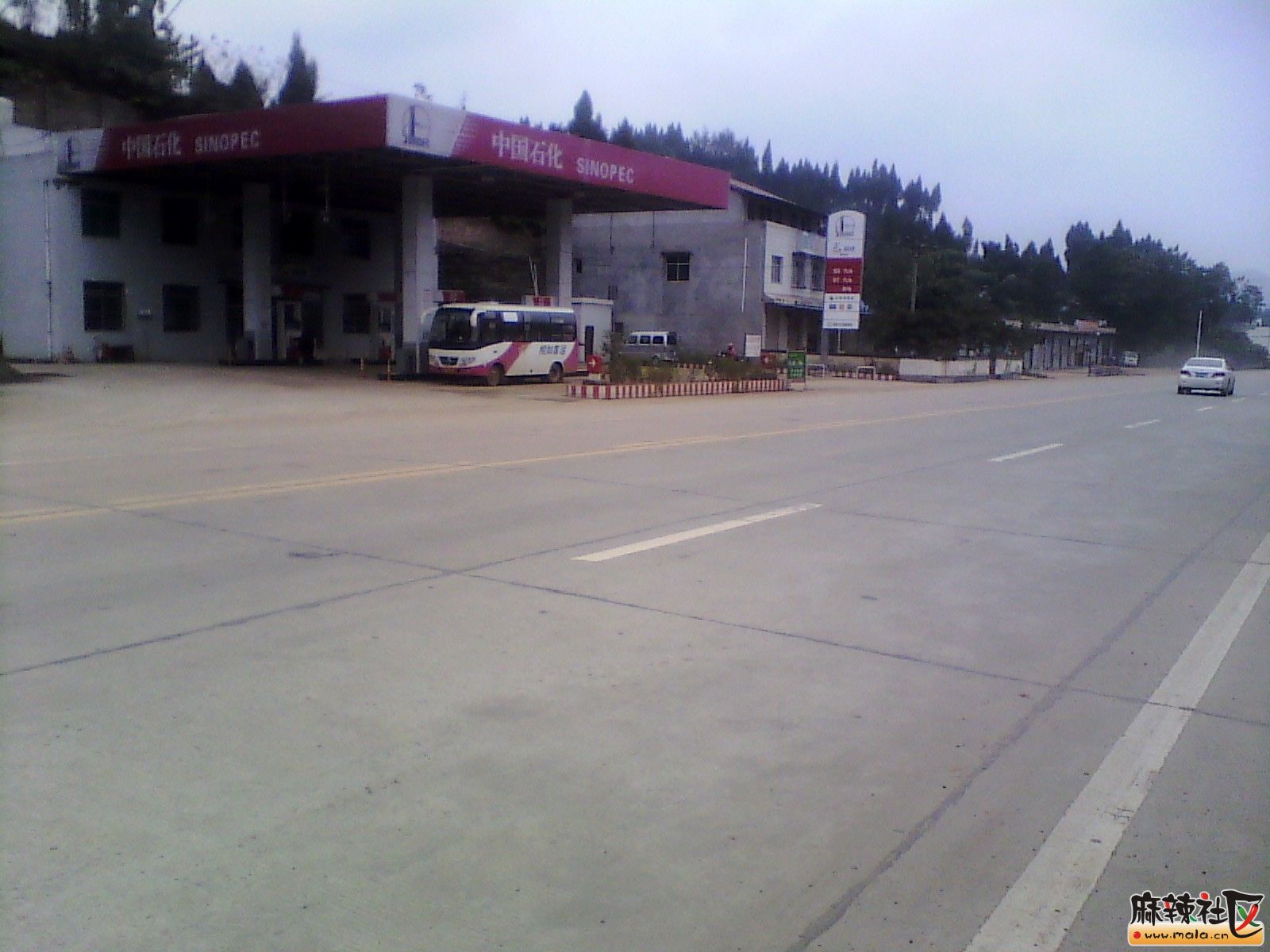 IMG_20131019_152611.jpg