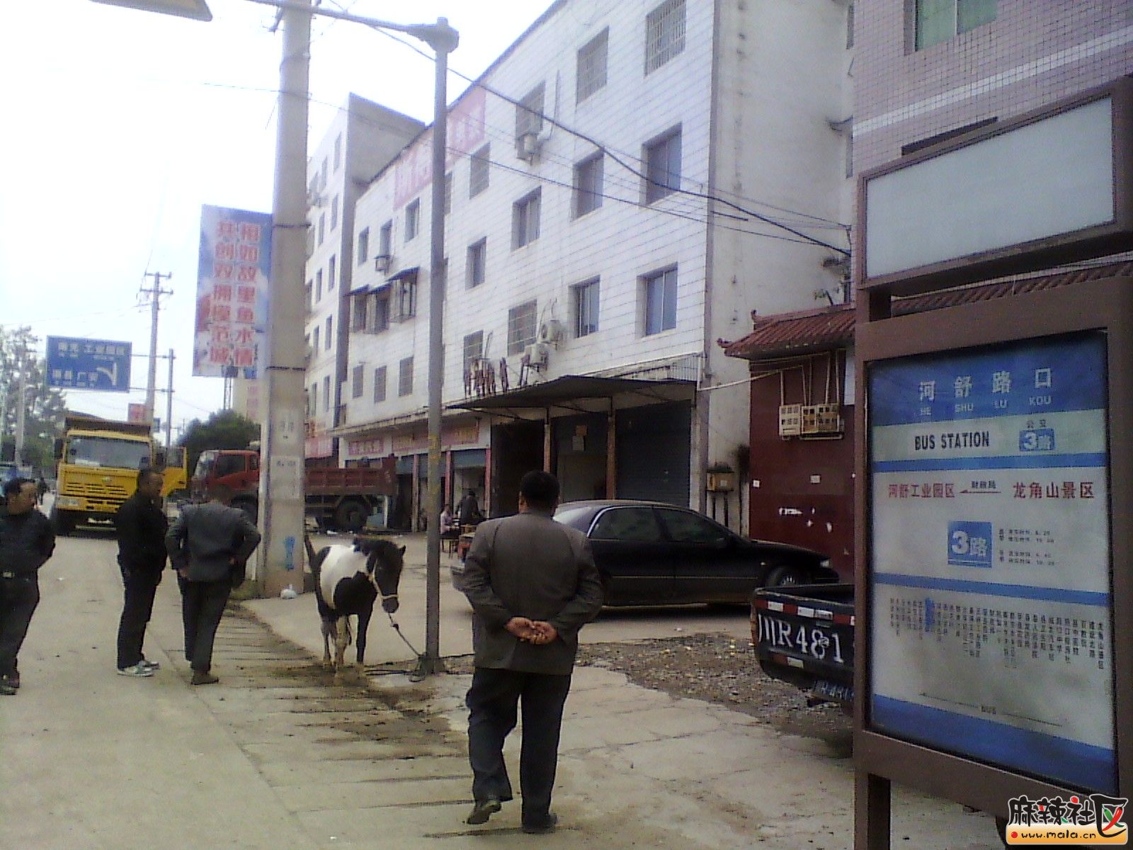 IMG_20131019_160228.jpg