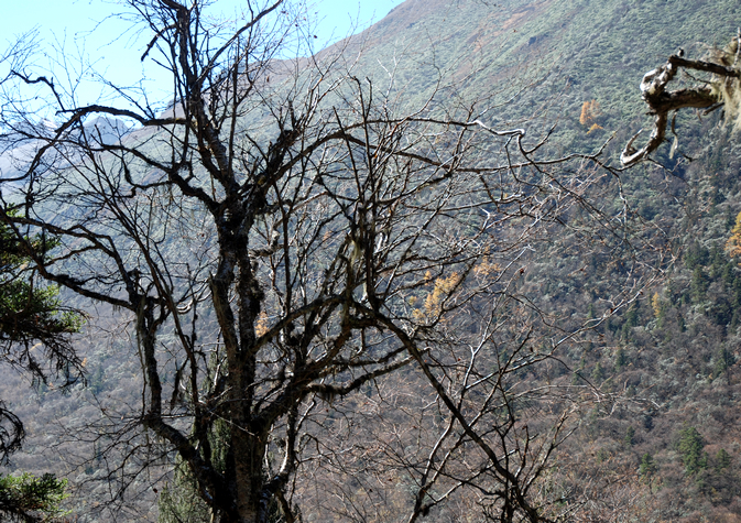 DSC_0183.JPG
