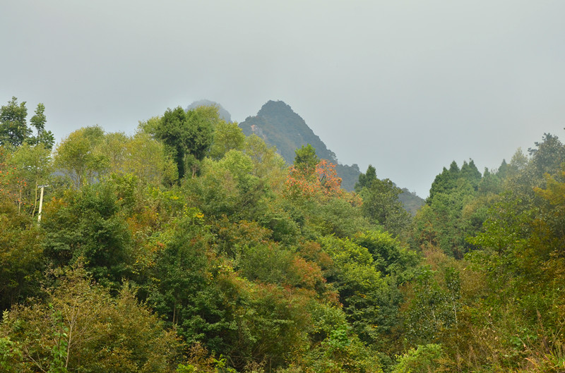 DSC_5061_.jpg