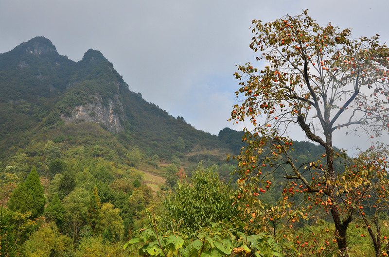 DSC_5069_.jpg