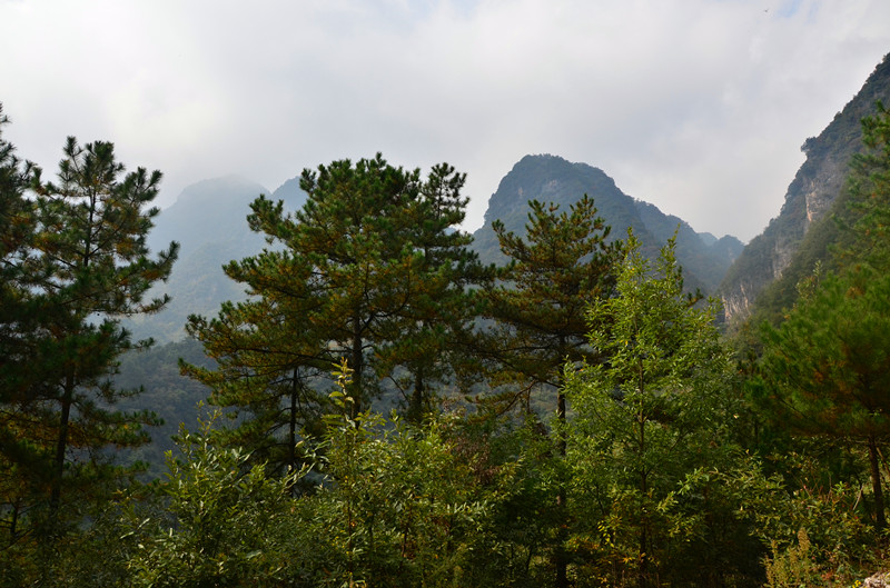 DSC_5070_.jpg