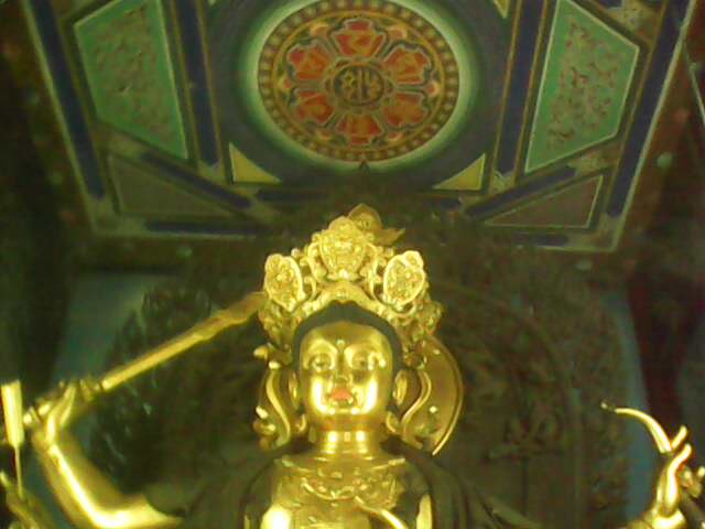 IMG4449A.jpg