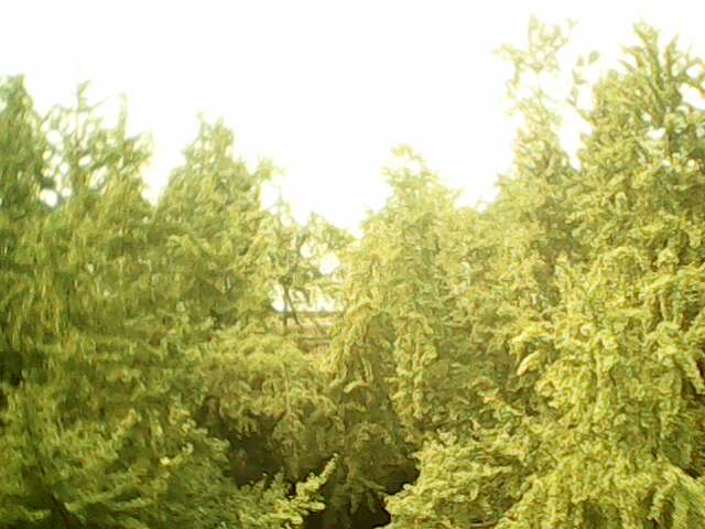 IMG4456A.jpg