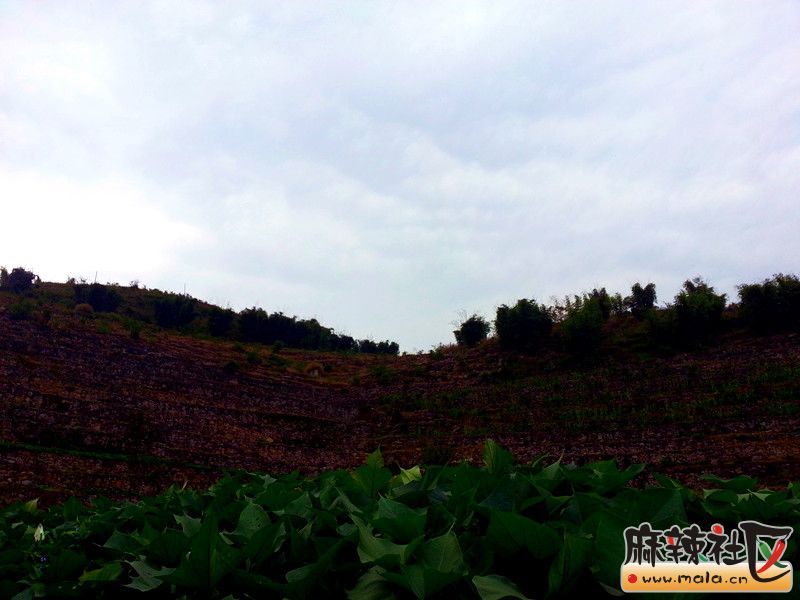 20131015_145903.jpg