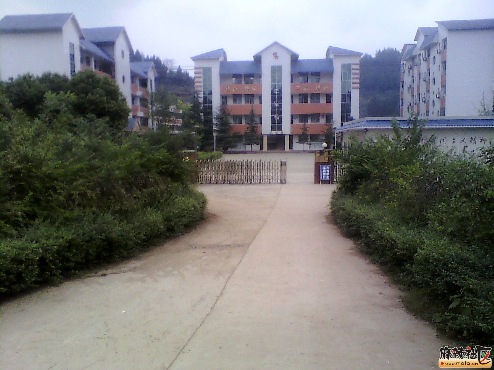 IMG_20131019_144945.jpg