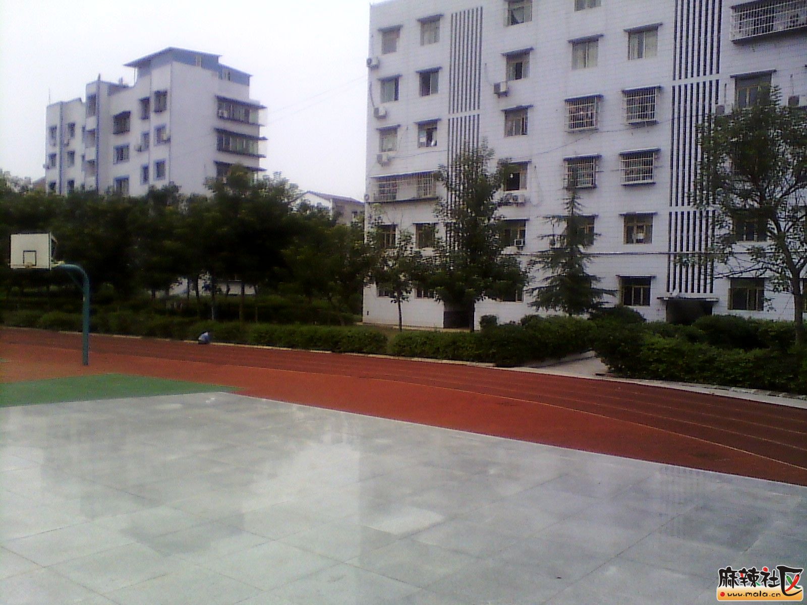IMG_20131019_165432.jpg