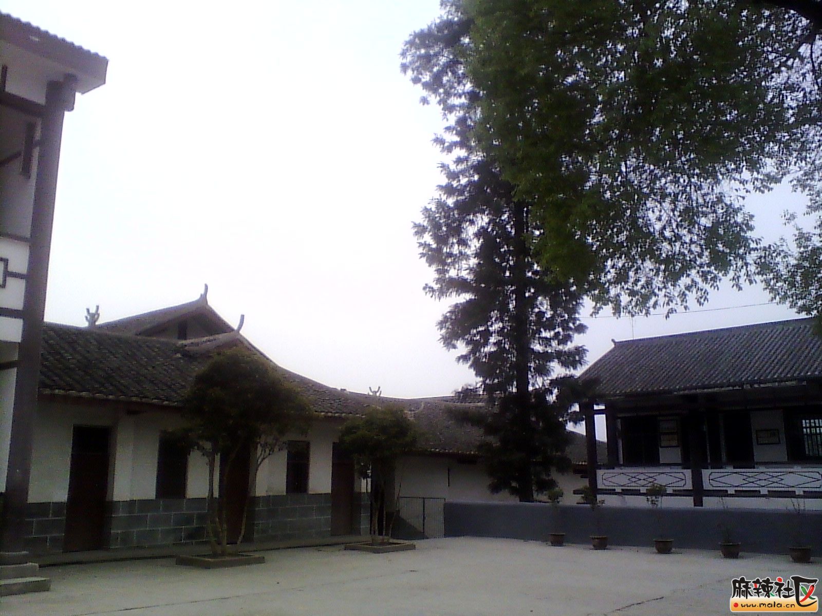 IMG_20130318_161938.jpg