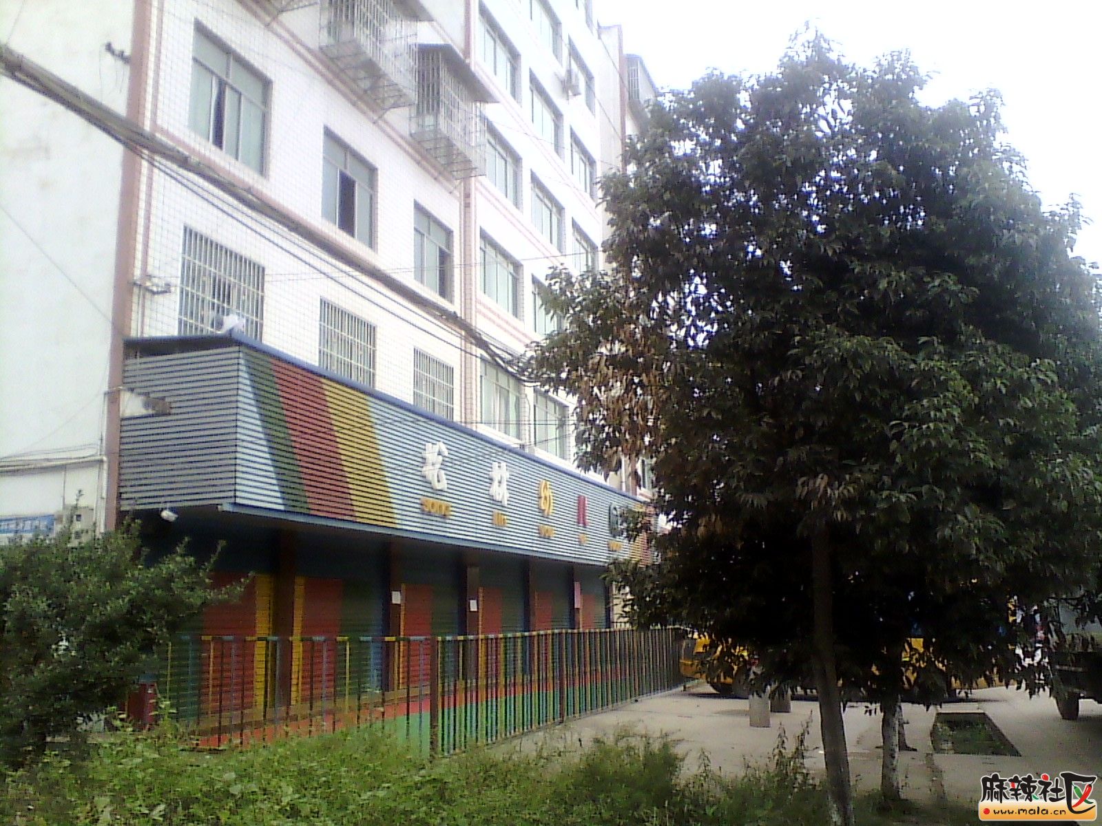 IMG_20131019_155255.jpg