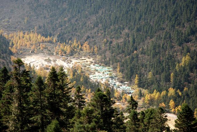 DSC_0102.JPG
