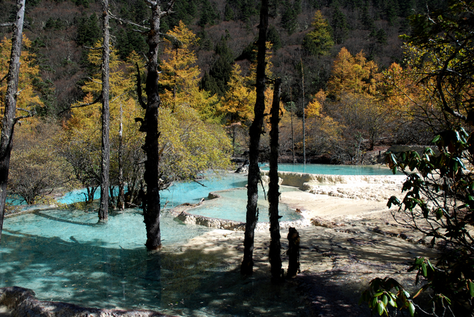 DSC_0413.JPG