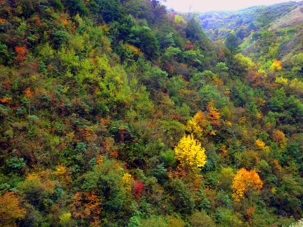 DSCF2472.JPG