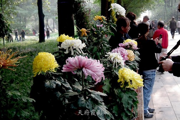 nEO_IMG_2013.10.25¾ 1092.jpg