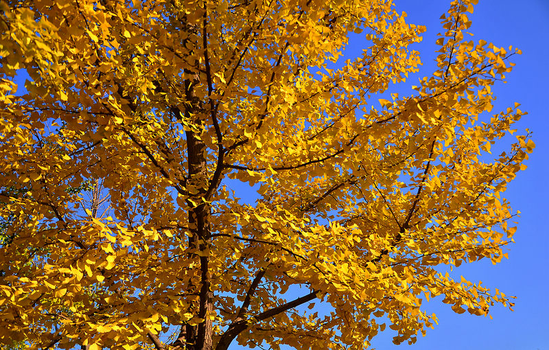 000_7609.JPG