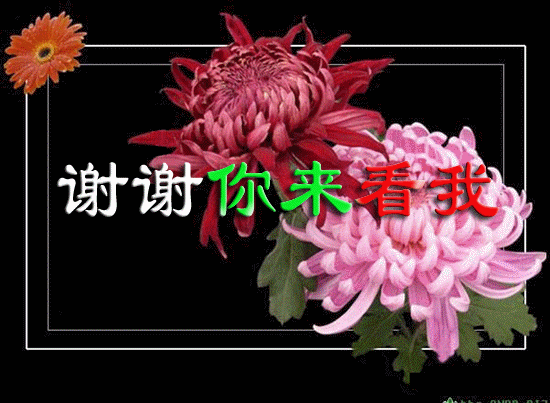 ллҡˡջ.gif