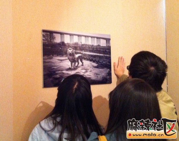 QQͼƬ20131027232805.jpg