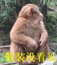 假装没看见.jpg