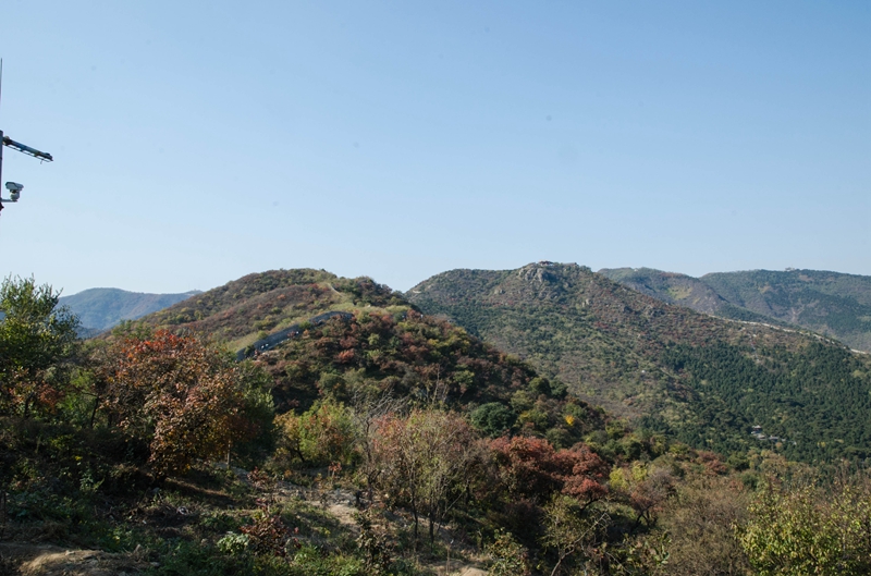 DSC_8502.jpg
