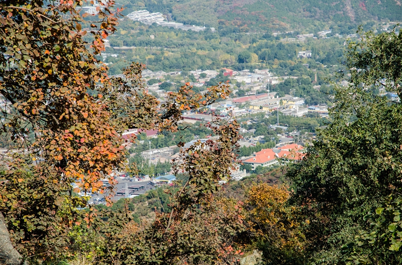 DSC_8535.jpg