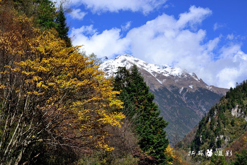DSC_0755_.jpg