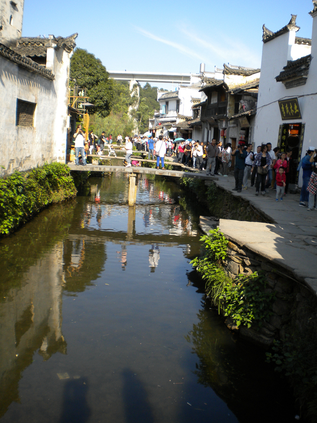 DSCN1447.JPG