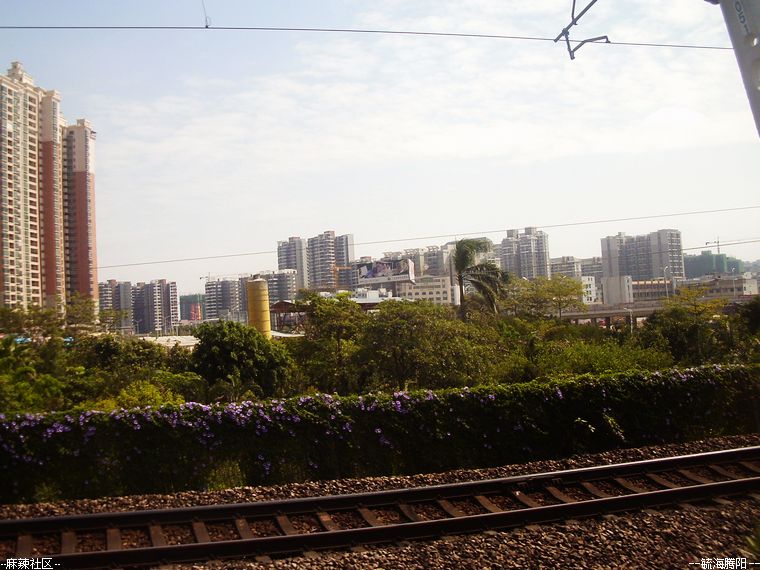 IMAG0037.jpg