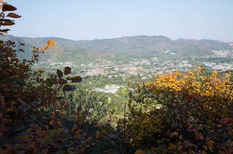 DSC_8552.jpg