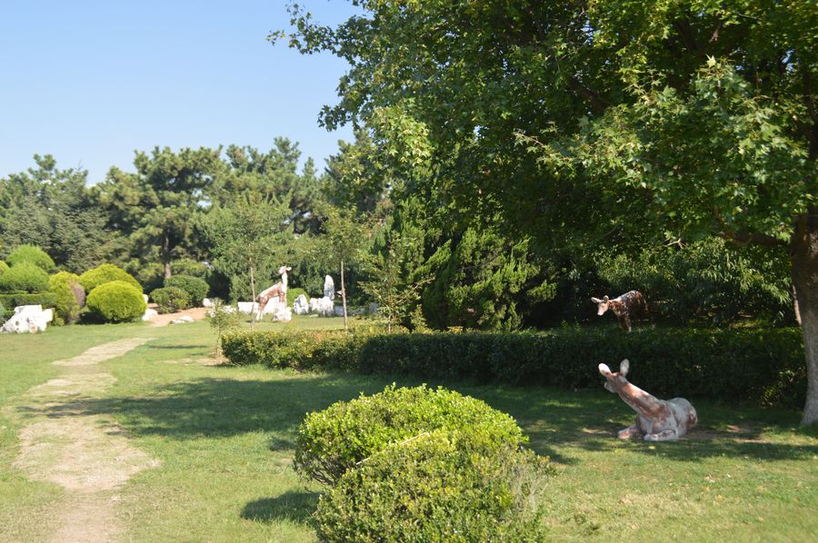 DSC_0690.jpg