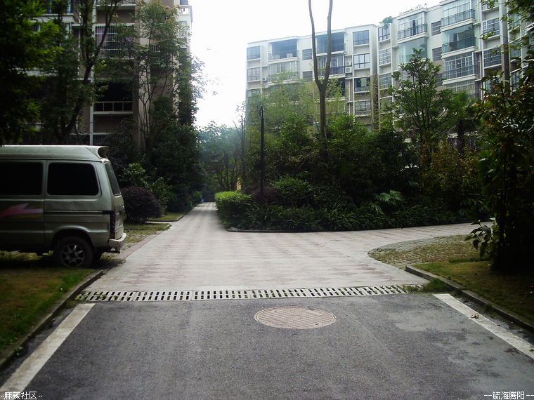 IMAG0177.jpg