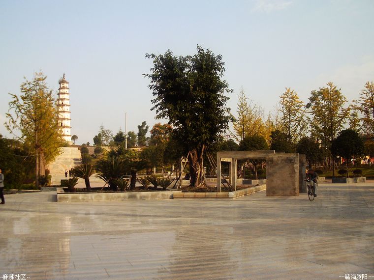 IMAG0252.jpg