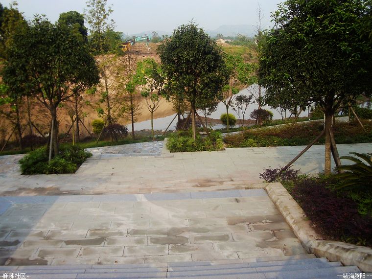 IMAG0257.jpg