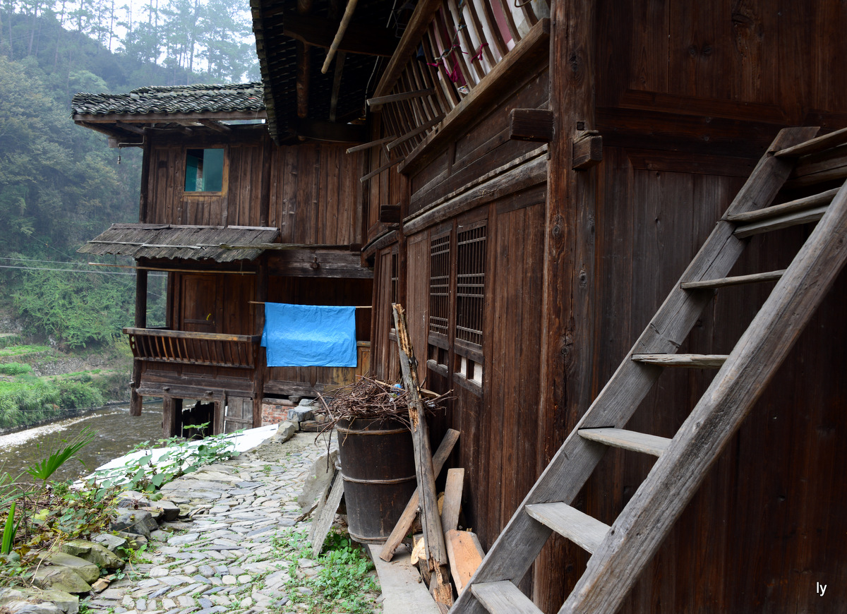 DSC_5144.JPG