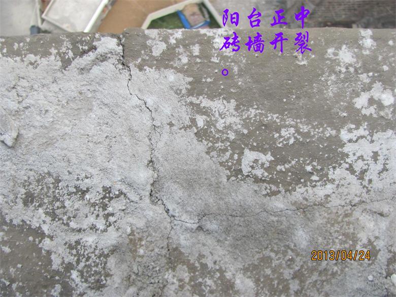 ̨שǽIMG_8355.JPG